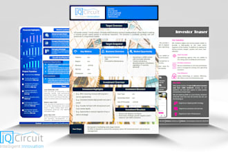 do investor ready teaser, pitch deck, investor deck, exec summary, info memo