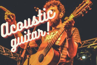 play a pro acoustic guitar for your song