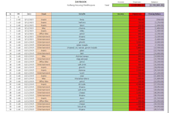make excel sheets, payment plans, ledgers etc