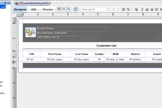 create or modify jaspersoft reports