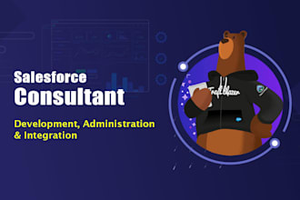 be your salesforce admin or salesforce developer