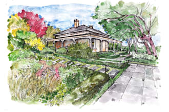 draw watercolor drawings of landscape designs or home gardens