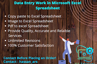 do data entry work in microsoft excel spreadsheet