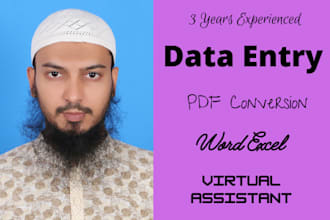 do advanced data entry with excel for any organization