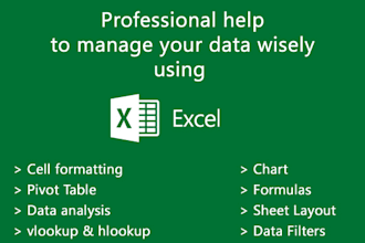 be your excel assistant for 1 hour