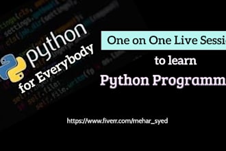 tutor and teach you learn python programming