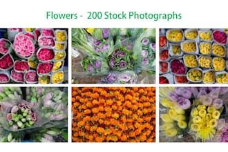 share photographs of flowers shot by me