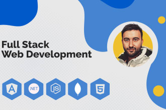 develop web application, pwa or spa using angular and dotnet