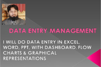 do data entry in excel , word for any financial assignment