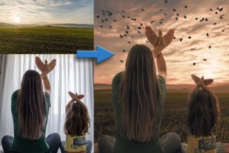 do high quality photoshop manipulation,collage,photo editing