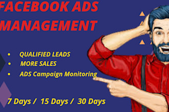 be your facebook ads manager