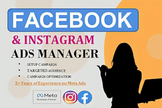 setup facebook ads campaign and manage meta ads professionally