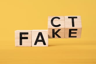fact check your article and provide you with sources