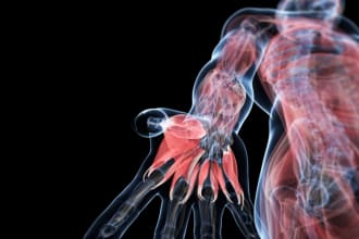 assist you with anatomy, physiology and biochemistry