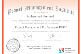 do your project management task