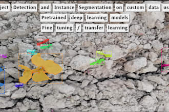 do transfer learning, CNN, and gan for computer vision, image classification