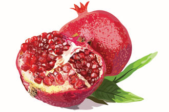 professional fruit and flower illustrations in vector format