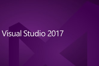 create bespoke visual studio apps in dotnet