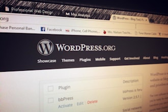 develop 5 or 10 pages wordpress website and blog
