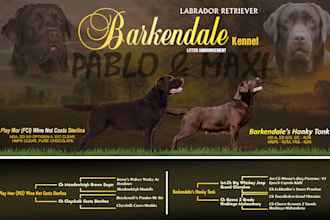 make dog poster for you