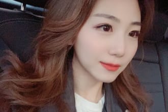 translate english to chinese or chinese to english manually