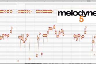 provide studio grade vocal tuning