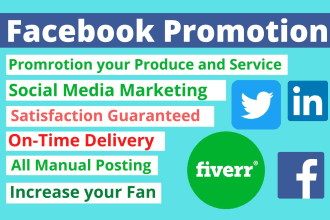 do facebook promotion for your business by the USA targeted audience