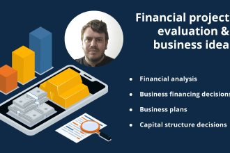 financial project valuation and business idea review