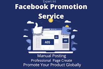 provide attractive facebook marketing in the USA any company