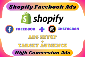 be your facebook ads campaign manager, fb advertising, fb ads campaign expert
