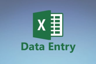 do excel data entry within 24 hours