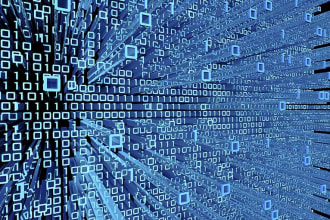 do information security and cyber security related tasks