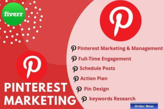 be your pinterest marketing manager to promote your business