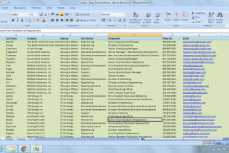 do niche based lead generation,email collection,web research