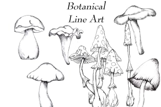 create botanical and medical ink line art