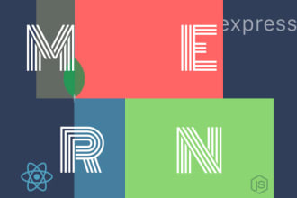 do web development using mern stack