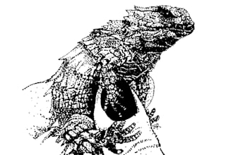 hand drawn pointilism ilustration with my ink style