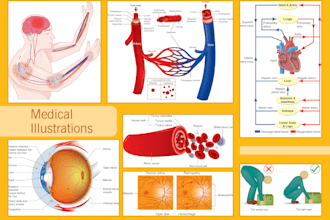 illustrate medical n scientific arts for textbooks, journals, simulations