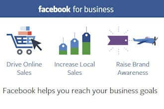 setup, optimize and manage your facebook ads campaigns