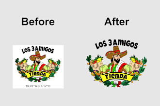 do vector trace or recreate any logo or image within few hrs