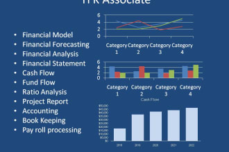 develop financial model, financial analysis,,forecasting and budgeting