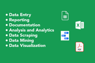 provide data entry, excel, and google sheets services