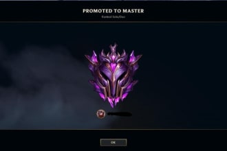 coach adc and support role in league of legends