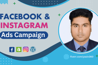 run facebook and instagram ads campaign with targeted audience research