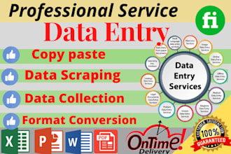 do data entry expert and copy paste job