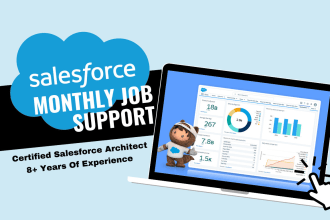 do monthly job support for salesforce