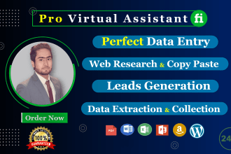 do data entry, market research, data scraping, and lead generation in 24 hours