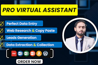 do data entry, market research, data scraping, and lead generation in 24 hours