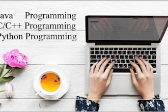 write efficient and bugless codes in java, cpp and python