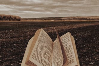 write an amazing fiction book in english or spanish for you